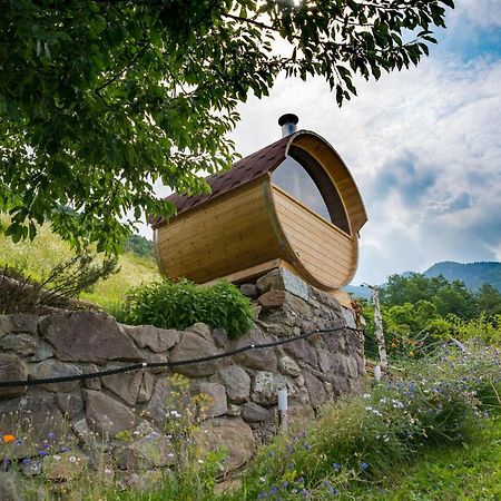 Agriturismo Alveare Sul Lago ピゾーニェ エクステリア 写真