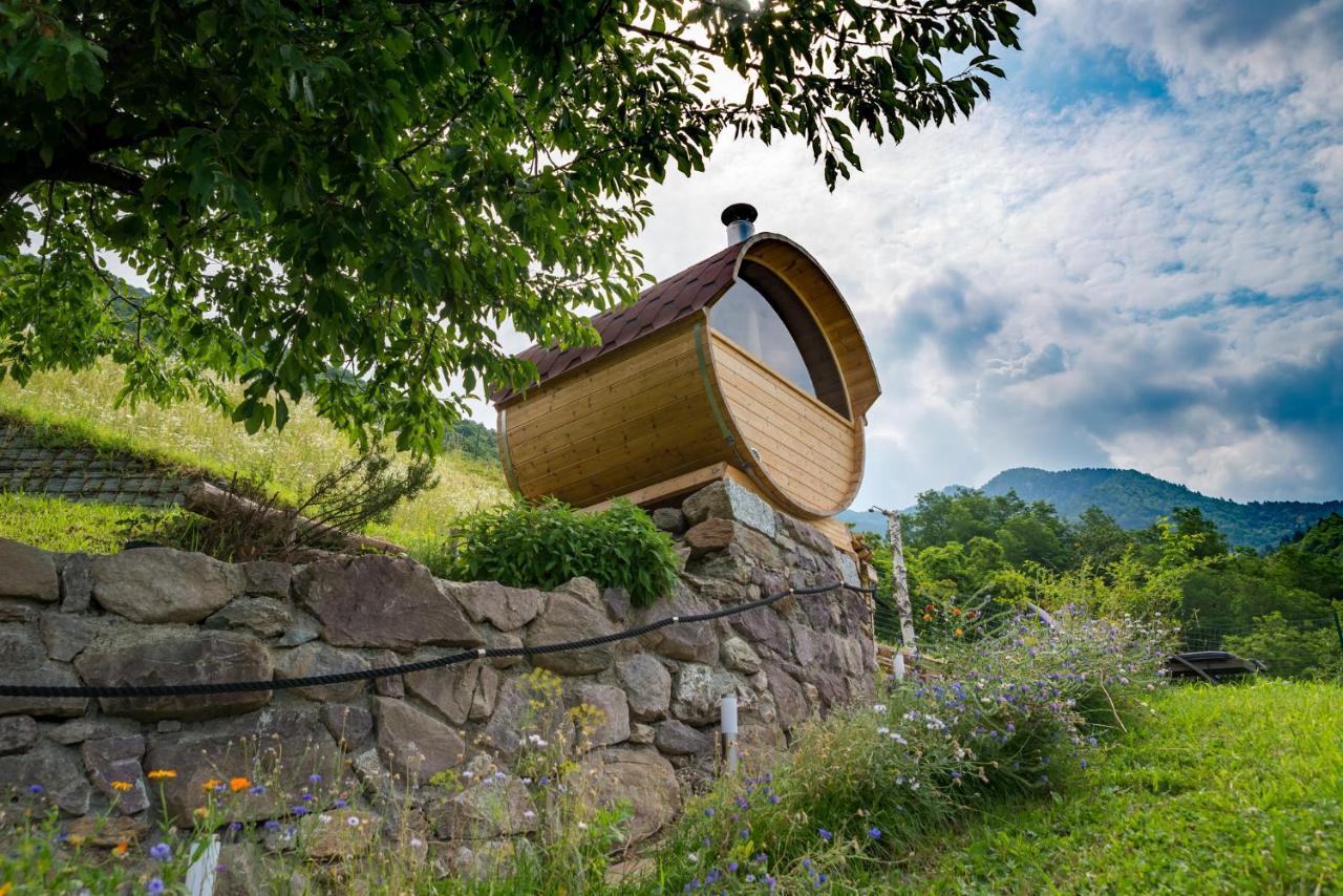Agriturismo Alveare Sul Lago ピゾーニェ エクステリア 写真