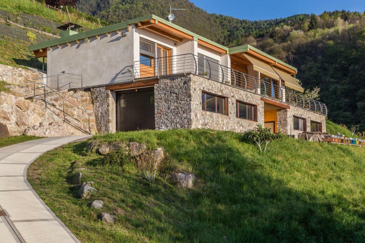 Agriturismo Alveare Sul Lago ピゾーニェ エクステリア 写真