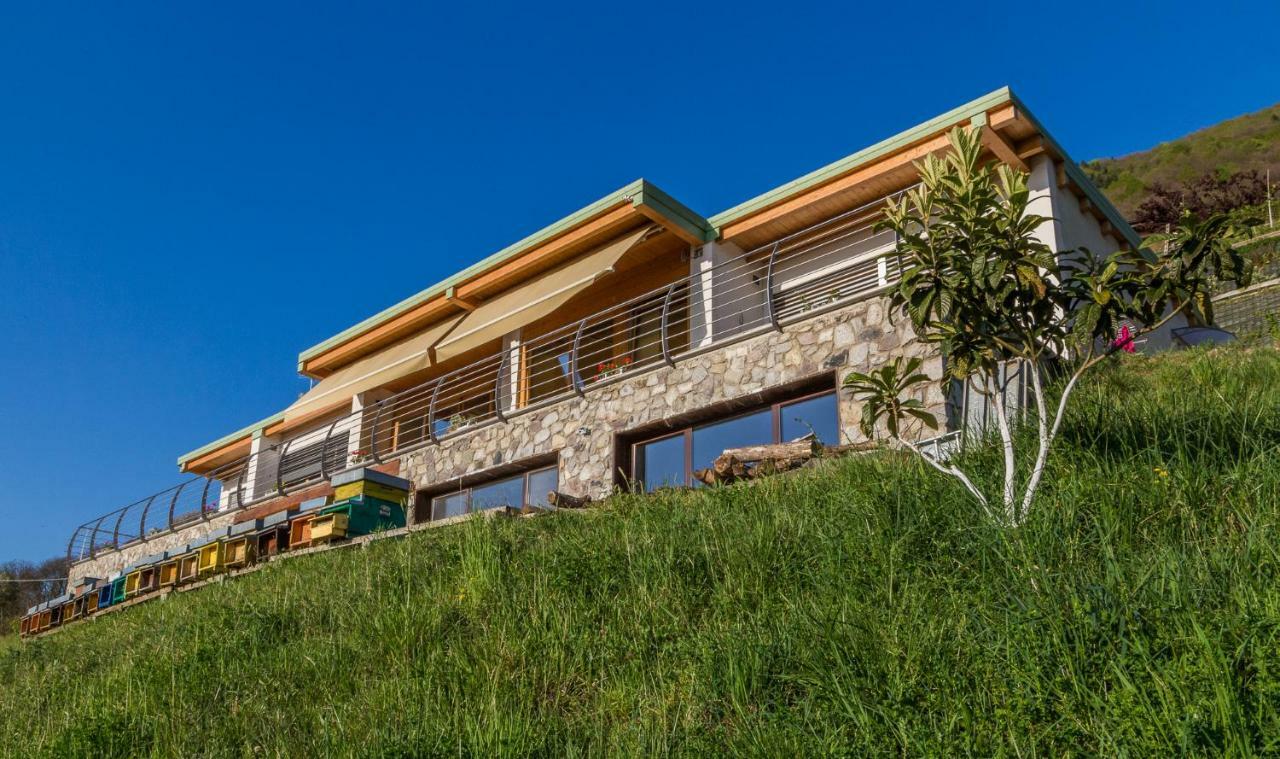 Agriturismo Alveare Sul Lago ピゾーニェ エクステリア 写真