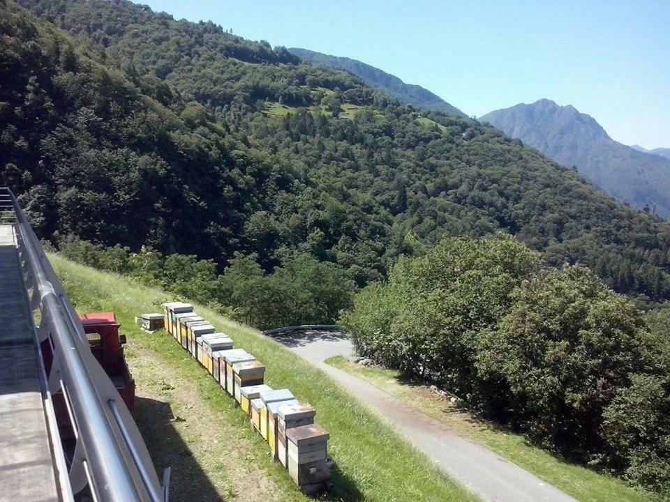 Agriturismo Alveare Sul Lago ピゾーニェ エクステリア 写真